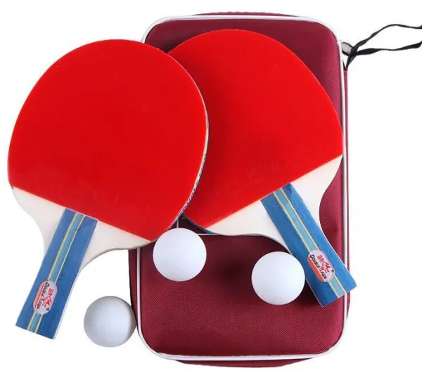 Double Fish 236A 2* Pöytätennissetti